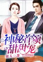 神秘首领,夜夜宠!