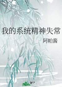 我的系统精神失常